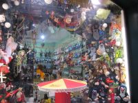IMG_3557