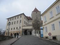 IMG_3401