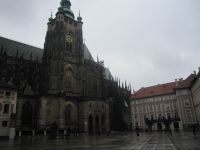 IMG_3433