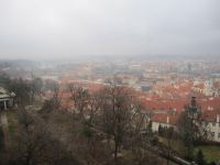IMG_3440