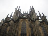 IMG_3446