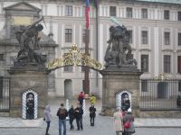 IMG_3452