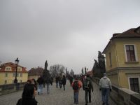 IMG_3485