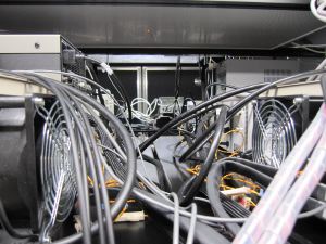 IMG_1170